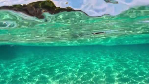 希腊Halkidiki市Sitonia的水晶清澈海水 从空气和水的边界与穹顶射击 沙质海滩底部和有树木岩石的半水下慢镜头 — 图库视频影像