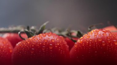 Su damlalı kokteyl domates, arka planda mutfak dumanı, Akdeniz mutfağı. Dalda olgun kırmızı domatesler. Ketçap ya da gazpacho yapıyorum. Kaydırıcı atışı, UHD