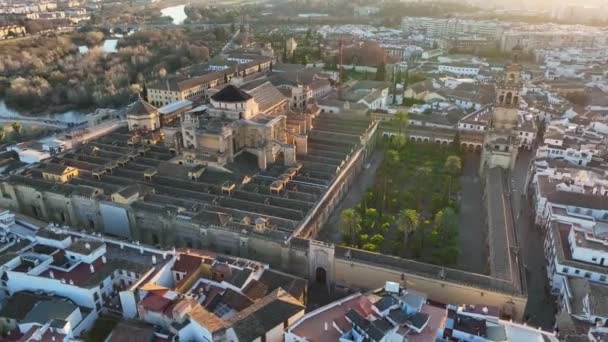 Полет Над Мечетью Собором Кордове Испания Вид Воздуха Сады Альказара — стоковое видео