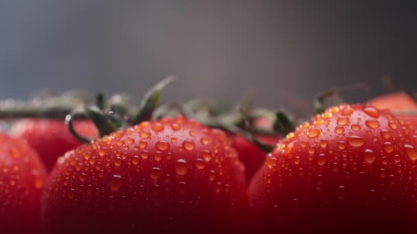 Cocktailtomaat Met Waterdruppels Keukenrook Achtergrond Mediterrane Keuken Rijp Rode Tomaten — Stockvideo