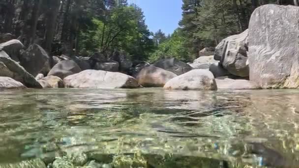 カメラは徐々に最も純粋な山の川に突入する 石と木の間に山に流れる透明な川の水 半分の水中ショット スローモーション — ストック動画