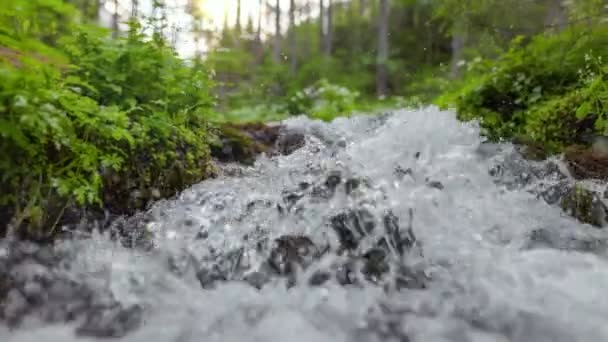 森林里小山小河里清澈的水晶晶 在有小瀑布的绿色森林里 水流湍急 慢动作 定速射击 — 图库视频影像