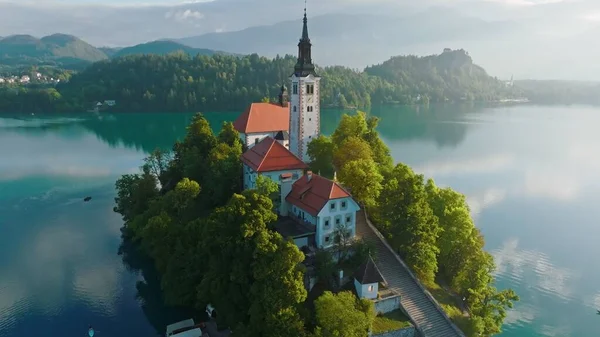 Voando Torno Pequena Ilha Bled Lake Eslovénia Vista Aérea Igreja Fotos De Bancos De Imagens