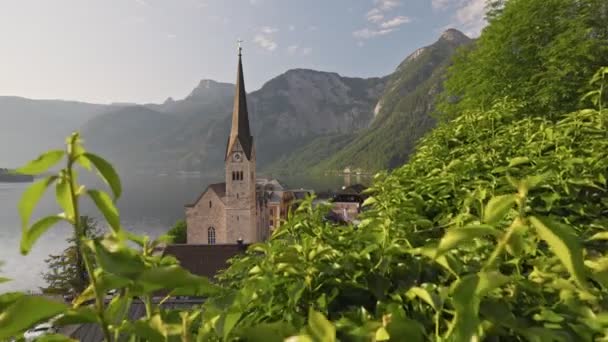 奥地利阿尔卑斯山哈尔斯塔特湖上哈尔斯塔特村的金巴尔拍摄 在奥地利 日出时分 相机在哈尔斯塔特村的绿叶间移动 早上4千枪 — 图库视频影像