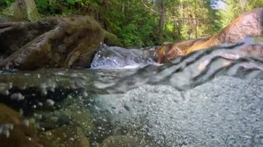 Tropikal yağmur ormanlarında temiz suyu olan bir nehir. Küçük şelaleli taşlar arasında yarı su altı ağır çekim. Orman nehrinde köpüklü saf su