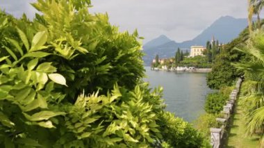 Lush greenery in the park on the shore Lake Como, Italy. Variety of green plants in the botanical garden of villa Monastero near Varenna village. Gimbal shot, mountains on background