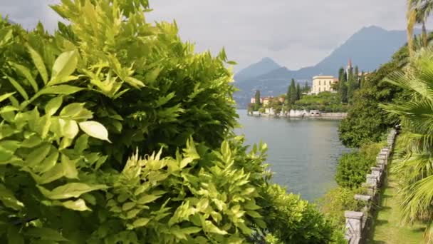 Verdura Exuberante Parque Costa Lago Como Itália Variedade Plantas Verdes — Vídeo de Stock