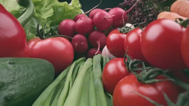 新鮮なオーガニックウェット野菜のスライドショット 健康的な夏の野菜は黒い背景の上に収穫します トマトとキュウリ パプリカ ニンニク ラディッシュ パセリ レタス — ストック動画