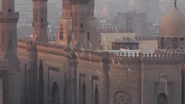Tiro Câmera Lenta Pombos Pássaros Voa Contra Fundo Mesquita Madrassa — Vídeo de Stock