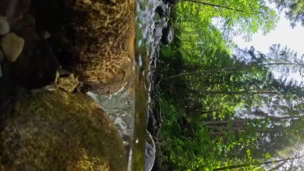 Video Vertical Cámara Mueve Agua Entre Piedras Río Montaña Con — Vídeo de stock