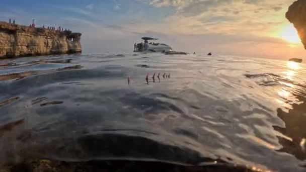 Красная Скорпионка Побережья Кипра Полуподводная Замедленная Съемка Сплит Вид Закат — стоковое видео