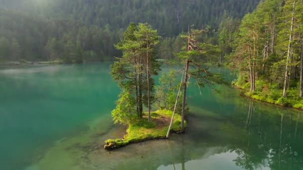 Piękne Jezioro Fernsteinsee Poranną Mgłą Górach Mała Wyspa Drzewami Alpejskim — Wideo stockowe