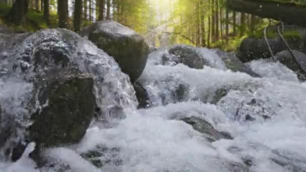 슬로우 강에서 무언가 일몰의 배경에 숲에서 흐르는 깨끗한 알파인 스트림 — 비디오