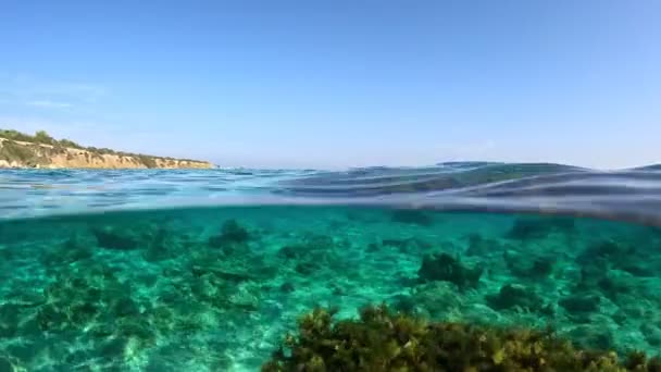 Halb Unterwasser Zeitlupe Von Klarem Türkisfarbenem Wasser Kristallklares Blaues Wasser — Stockvideo