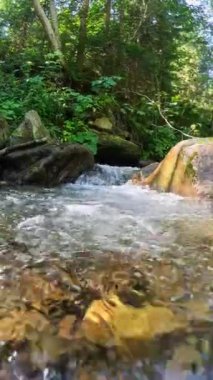 River 'ın tropikal yağmur ormanlarındaki temiz suyla dikey ekran görüntüsü. Küçük şelaleli taşlar arasında yarı su altı ağır çekim. Orman nehrinde köpüklü saf su