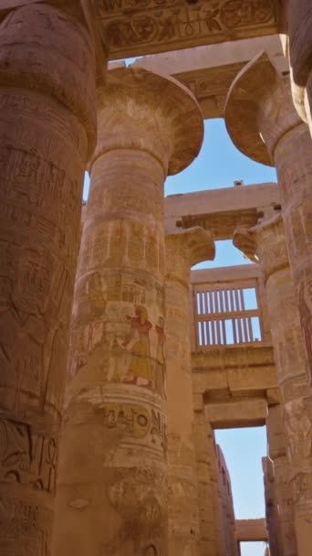 Cámara Mueve Entre Columnas Con Dibujos Antiguos Egipcios Templo Karnak — Vídeos de Stock