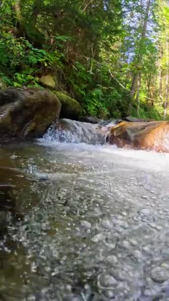 熱帯雨林の透明な水で川の垂直スクリーンショット 小さな滝のある石の間の流れの半分の水中スローモーションショット ジャングル川の泡で純粋な水 — ストック動画