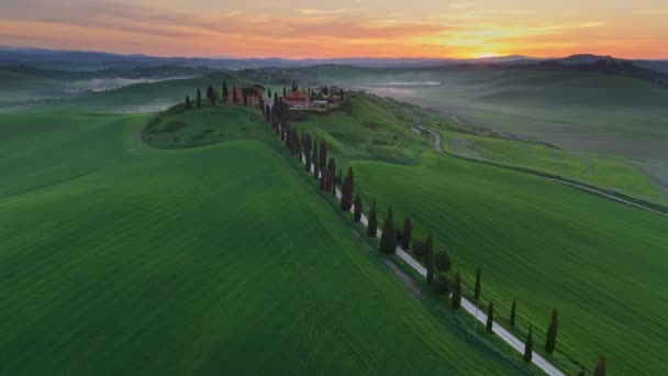 Typische Toskanische Luftlandschaft Mit Zypressenstraße Und Ackerland Bei Sonnenaufgang Morgenblick — Stockvideo