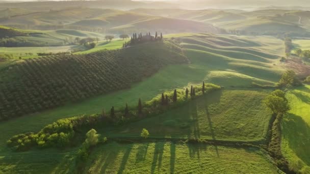 Paisaje Clásico Toscana Con Colinas Verdes Tierras Cultivo Amanecer Foto — Vídeos de Stock