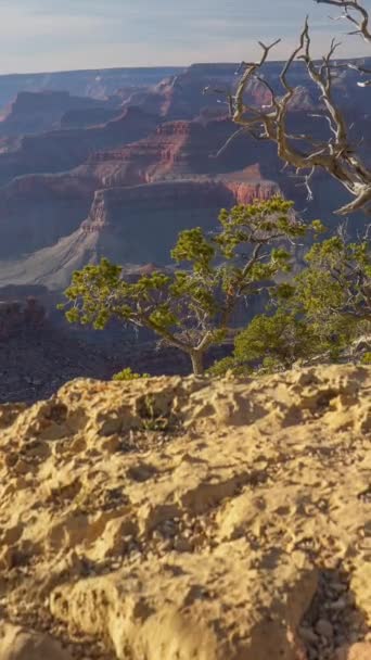 Blick Auf Den Grand Canyon Usa Rot Verwitterte Felsen Hintergrund — Stockvideo