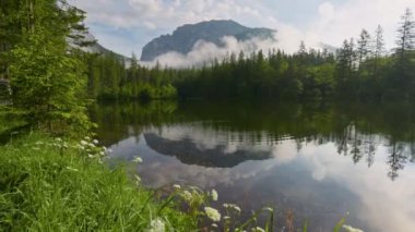 Ormanlar ve dağlarla çevrili Avusturya Alp Gölü. Avusturya Alpleri 'nde güneşli bir sabah. Göl, orman ve dağlarla kaplı bir manzara. Gimbal shot, 4K