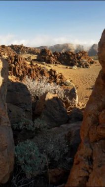 Tenerife, Kanarya Adaları, İspanya. Teide yanardağının eteğindeki volkanik arazi. Dikey sabit çekim