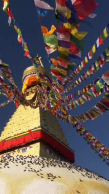Katmandu, Nepal 'de Boudhanath stupa etrafında renkli bayraklar. Birçok kuş altta oturur. Mavi gökyüzü ve beyaz ay. Dikey sabit çekim