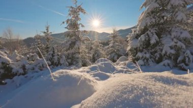Karla kaplı bir dağ ormanında aydınlık, güneşli bir gün. Güneşin doğuşunun çarpıcı güzelliği karla kaplı manzara, yüksek çam ağaçları ve uzak dağlarla. Kış büyüsü