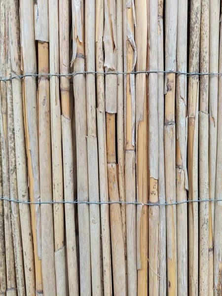 Old Weathered Reed Fence Tied Wire High Quality Photo — Stock Photo, Image