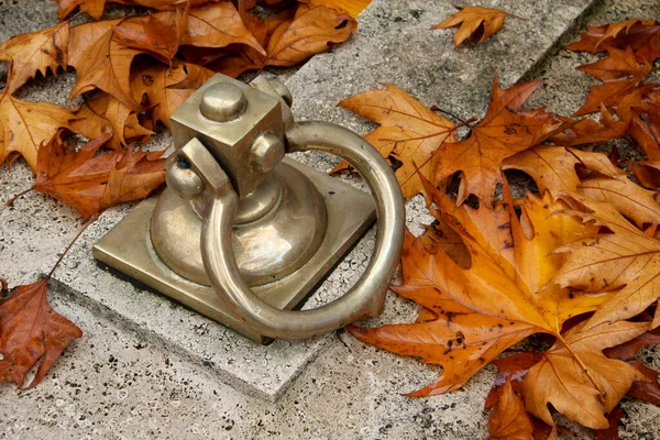 Cemetery Grave Lid Doorknob Autumn Yellow Leaf High Quality Photo — Stock Photo, Image