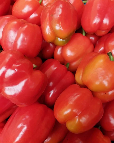 Rote Paprika Gruppe Auf Der Gemüsetheke Hochwertiges Foto — Stockfoto
