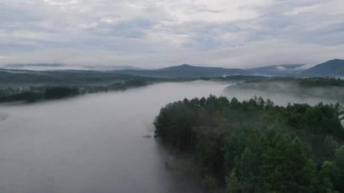 Nehirli bir manzara. Hızlı dağ nehri Neman. Yukarıdan bak. Verkhnebureinsky bölgesi. Rus uzak doğuda. Yüksek kaliteli FullHD görüntüler