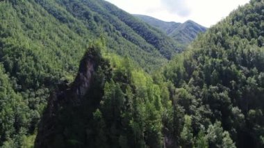 Nehirli bir manzara. Hızlı dağ nehri Neman. Yukarıdan bak. Verkhnebureinsky bölgesi. Rus uzak doğuda. Yüksek kaliteli FullHD görüntüler