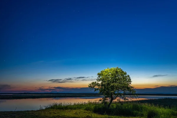 Όμορφο Καλοκαιρινό Ηλιοβασίλεμα Στην Όχθη Της Λίμνης Σιλουέτα Ενός Δέντρου — Φωτογραφία Αρχείου