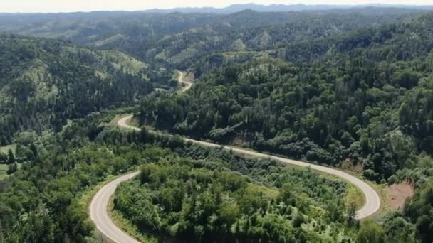 Aerial Shot Winding Road Passing Dense Green Forest Car Traveling — Stock Video