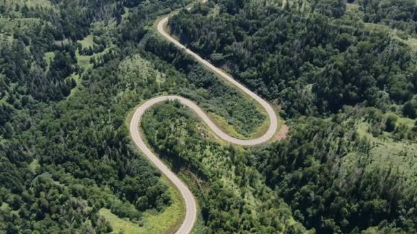 Zdjęcie Lotnicze Krętej Drogi Przechodzącej Przez Gęsty Zielony Las Samochód — Wideo stockowe