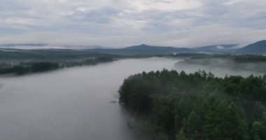 Nehirli bir manzara. Hızlı dağ nehri Neman. Yukarıdan bak. Verkhnebureinsky bölgesi. Rus uzak doğuda. Yüksek kaliteli FullHD görüntüler