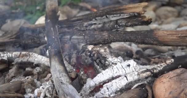 Płonące Ognisko Lesie Wieczorem Płonące Ognisko Kominek Przyrodzie Static Shot — Wideo stockowe