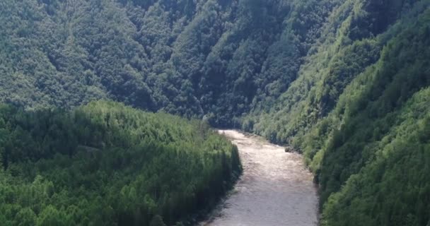 Landschaft Mit Einem Fluss Schneller Gebirgsfluss Neman Blick Von Oben — Stockvideo