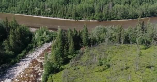 Nehirli Bir Manzara Hızlı Dağ Nehri Neman Yukarıdan Bak Verkhnebureinsky — Stok video