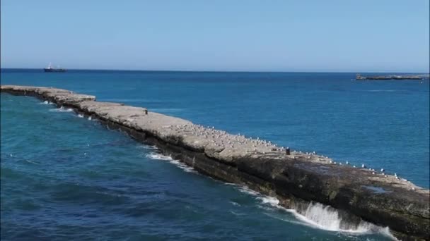 Ondas Batendo Contra Quebra Mar Pedra Iluminado Pela Luz Pôr — Vídeo de Stock