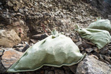 Toprak testi. Agronomist, toprağı bahçe küreğiyle birlikte toprak numune torbasına koyuyor. Çevre araştırması. Yüksek kalite fotoğraf