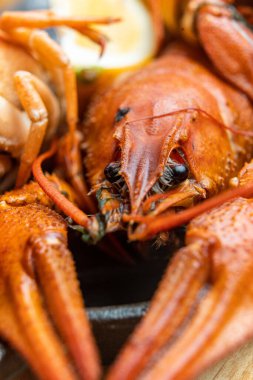 Nehir kerevit haşladı. Kırmızı pişmiş kerevit. Kerevitli tabak. Yüksek kalite fotoğraf