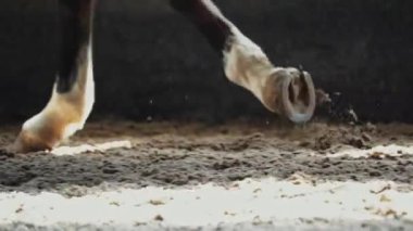 Ağır çekimde yaklaşın. Toynak yakın çekim. At Yarışı. Toynakların altında toz var. Kum farklı yönlere uçuyor..