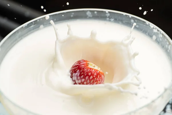 Căpșuni Care Cad Lapte Stropit Izolat Alb Fotografie Înaltă Calitate — Fotografie, imagine de stoc