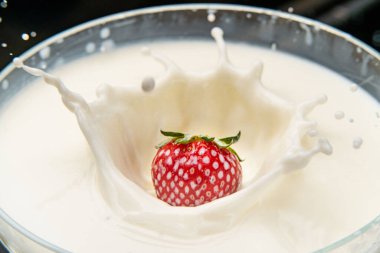 Çilek sütün içine düşüyor. Beyazda izole edilmiş. Yüksek kalite fotoğraf