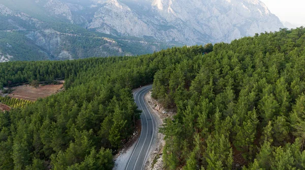 Aerial View Road Green Summer Forest Turkei High Quality Photo — Stock Photo, Image
