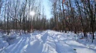 Kışın bir ATV off-road sürmek bir bakış açısıdır, POV ise bir ATV kullanıyor. Off-road ATV maceraları. Yüksek kaliteli FullHD görüntüleri.