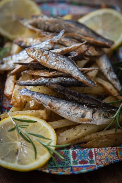 Gegrilde Sardinevis Smakelijk Gezond Mediterraan Voedsel Rechtenvrije Stockfoto's