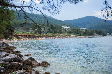 İnsanların yaz tatilinin tadını çıkardığı plaj, turkuaz rengi açık deniz. Sahili çevreleyen çam ağaçları. Tatil ve seyahat kavramı.